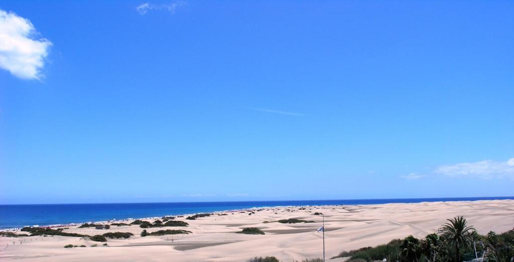 Appartement Alsol Patricio à Playa del Inglés Extérieur photo
